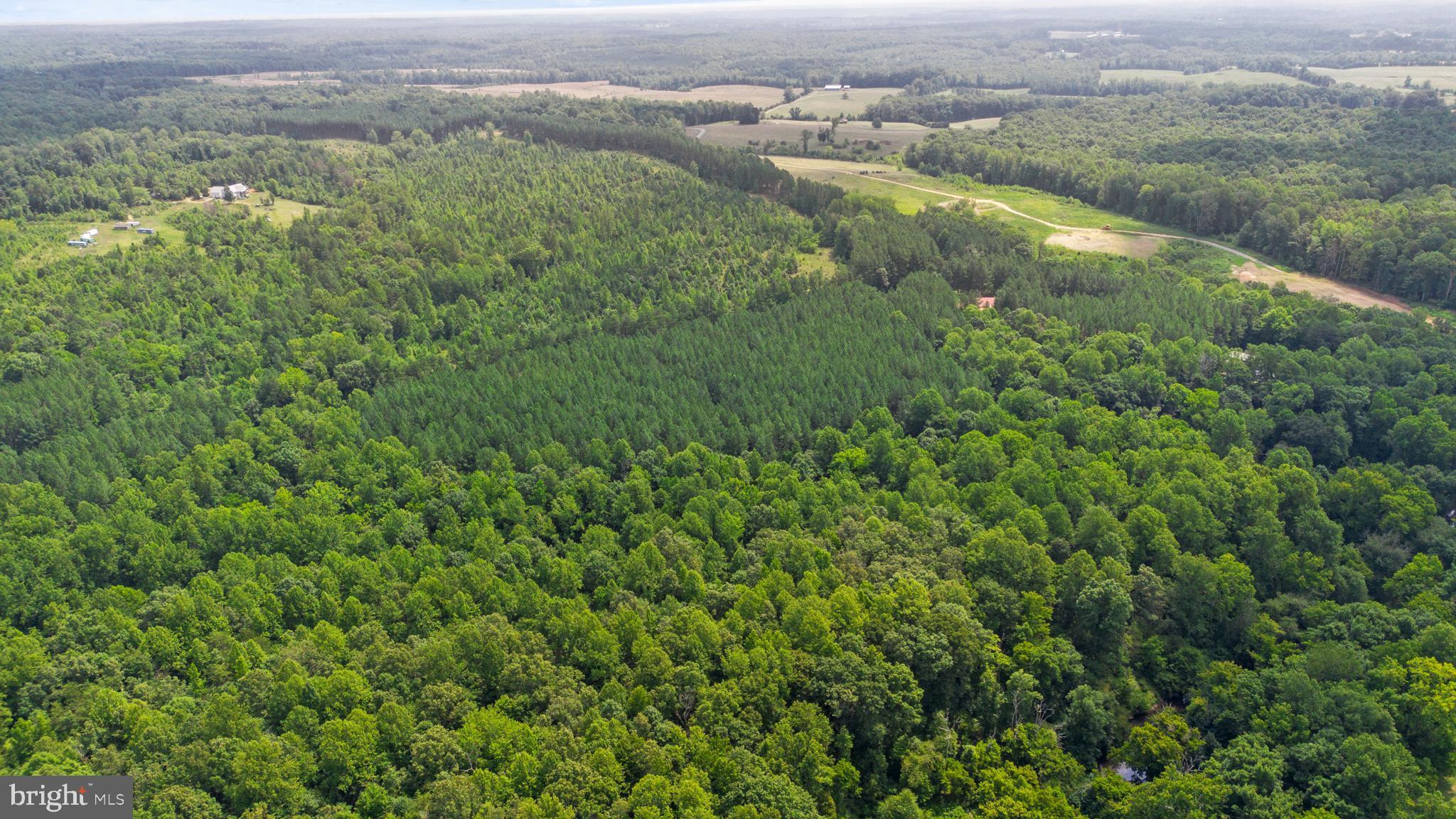 362 Dell Perkins Road Louisa, VA 23093 - Photo 86 of 92