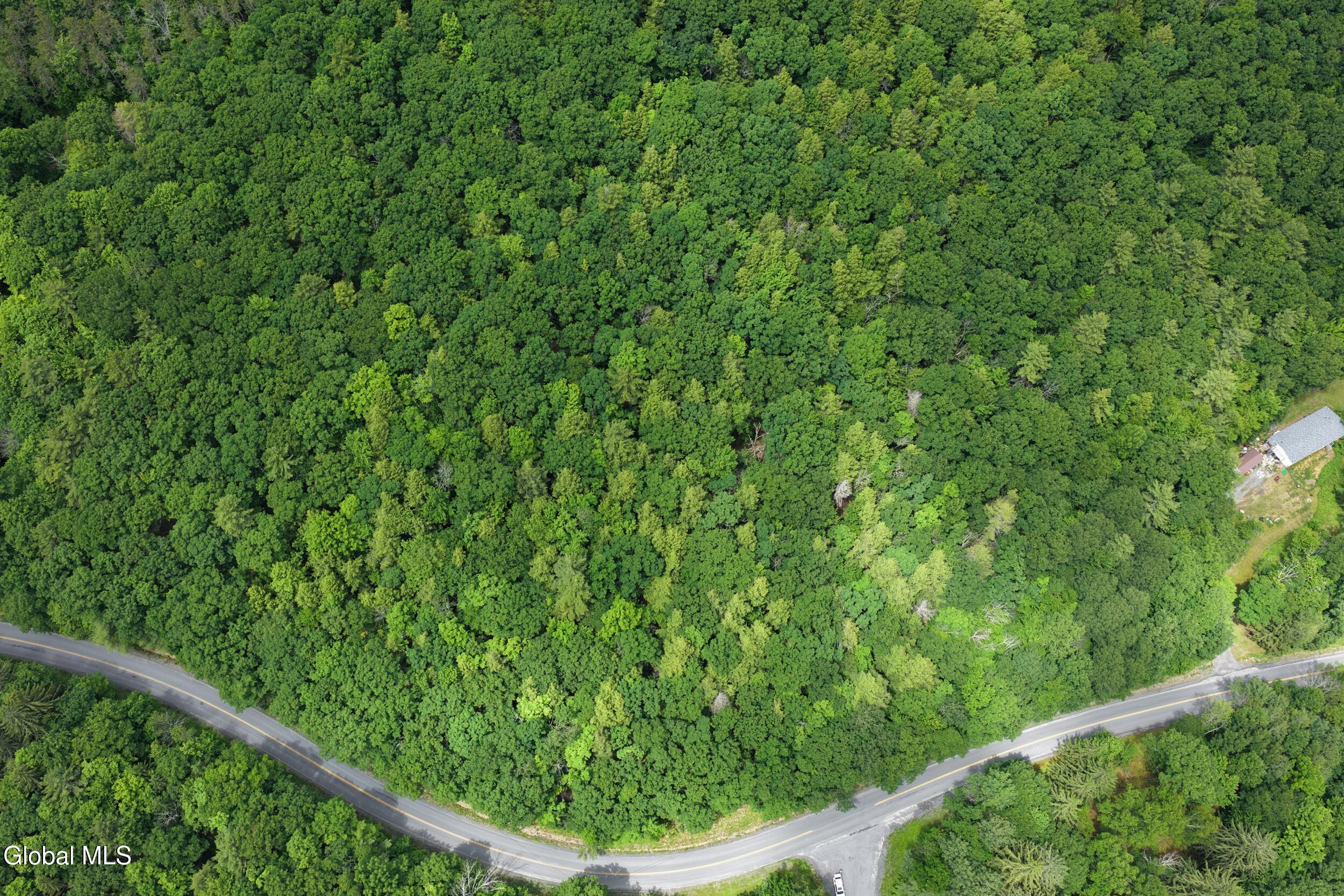 L1.00 Cotton Hill Road Middleburgh, NY 12122 - Photo 6 of 17 dji_20260616013715_0052_d