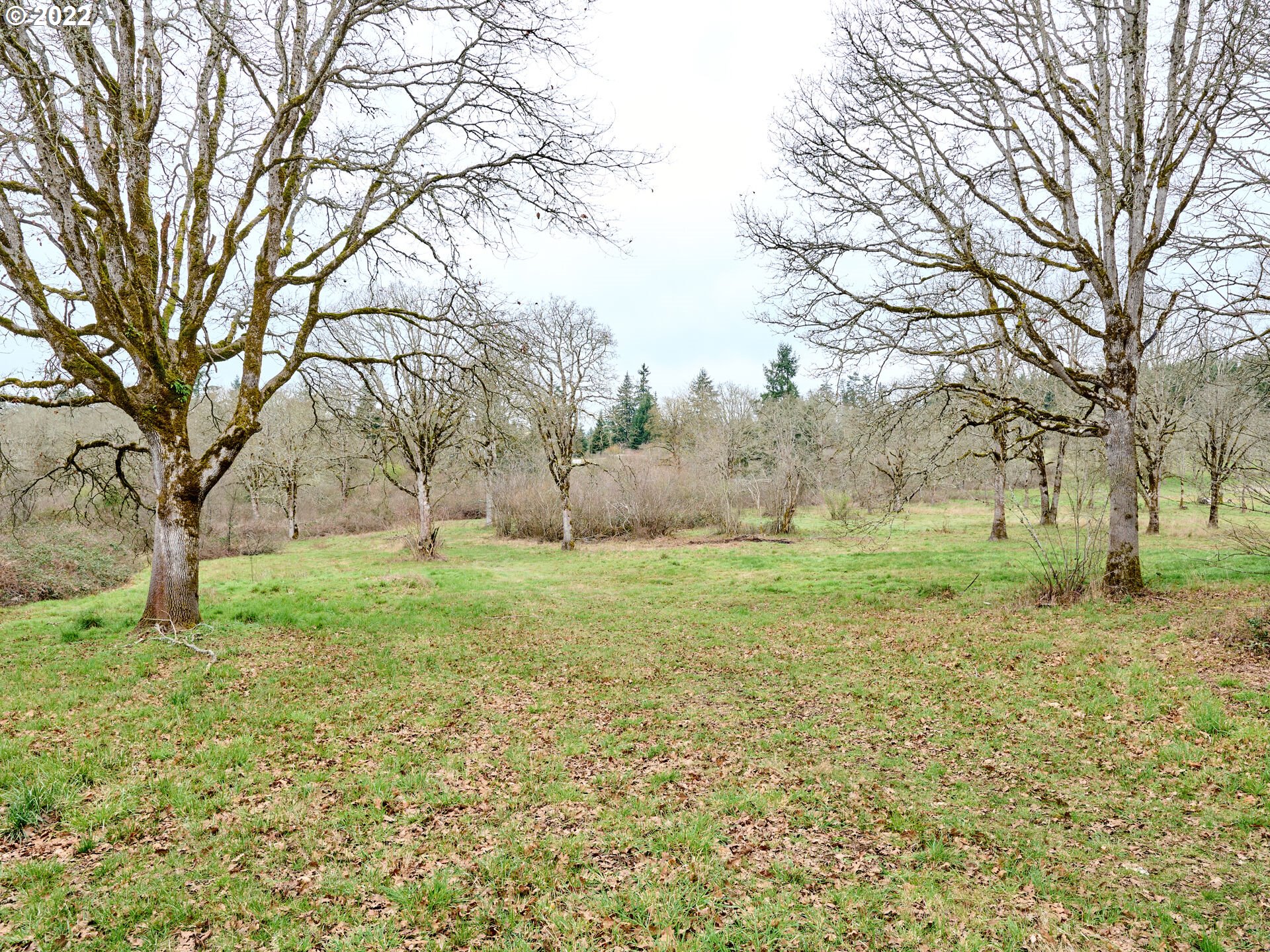 32037 South Wright Road Molalla, OR 97038 - Photo 23 of 26 Gallery Image 23