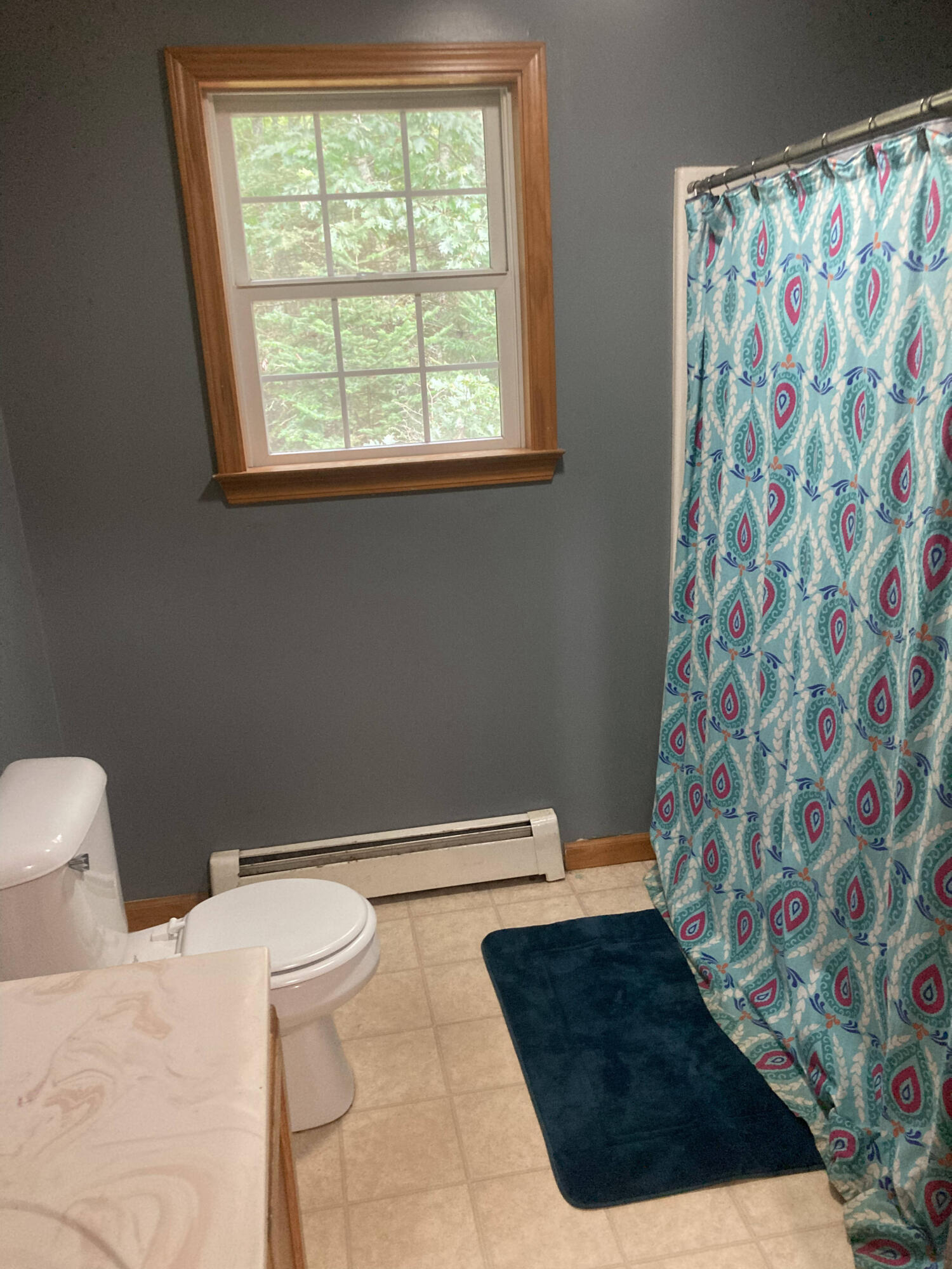 520 Leaches Point Road Orland, ME 04472 - Photo 22 of 74 IMG_5213