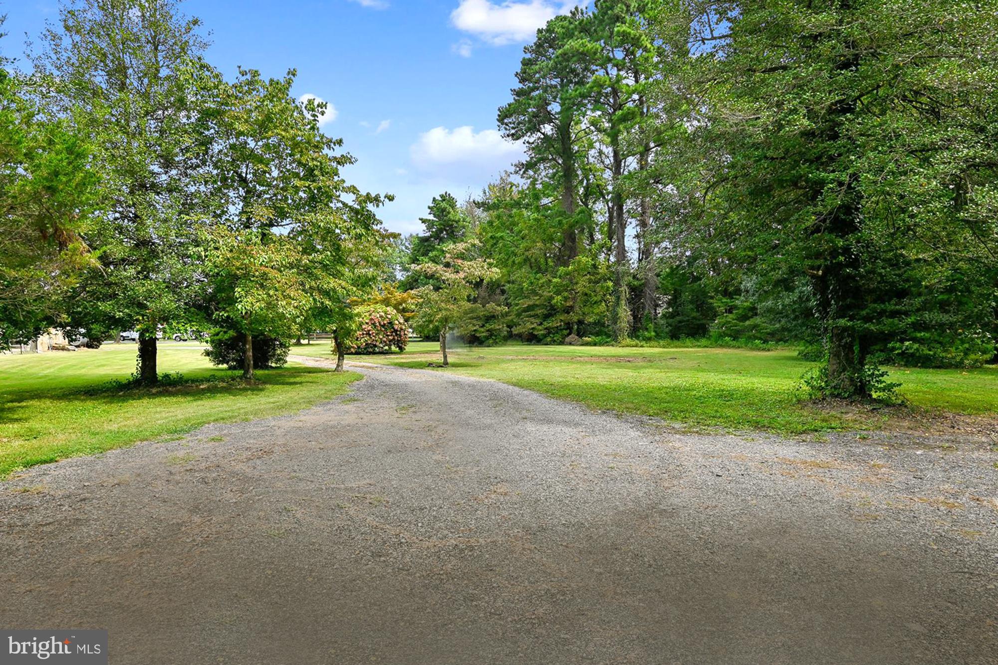 1836 Cherry Road Annapolis, MD 21409 - Photo 11 of 82 Welcoming Tree-Lined Property Entry