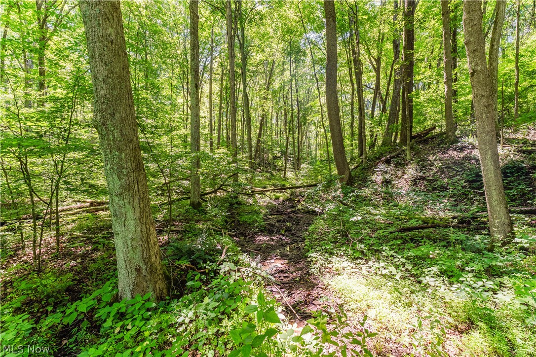 Norris Road Tippecanoe, OH 44699 - Photo 26 of 32