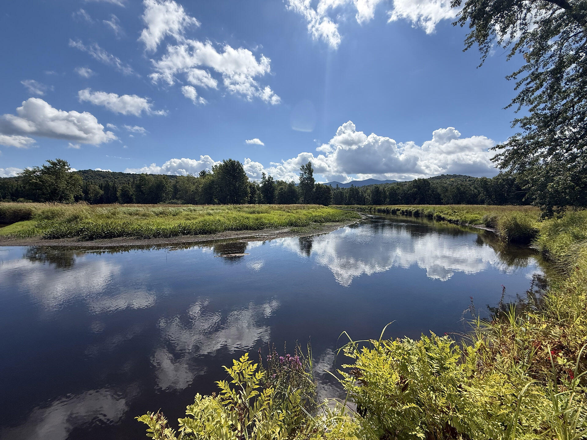 1341 State Rte 3 Bloomingdale, NY 12913 - Photo 57 of 62