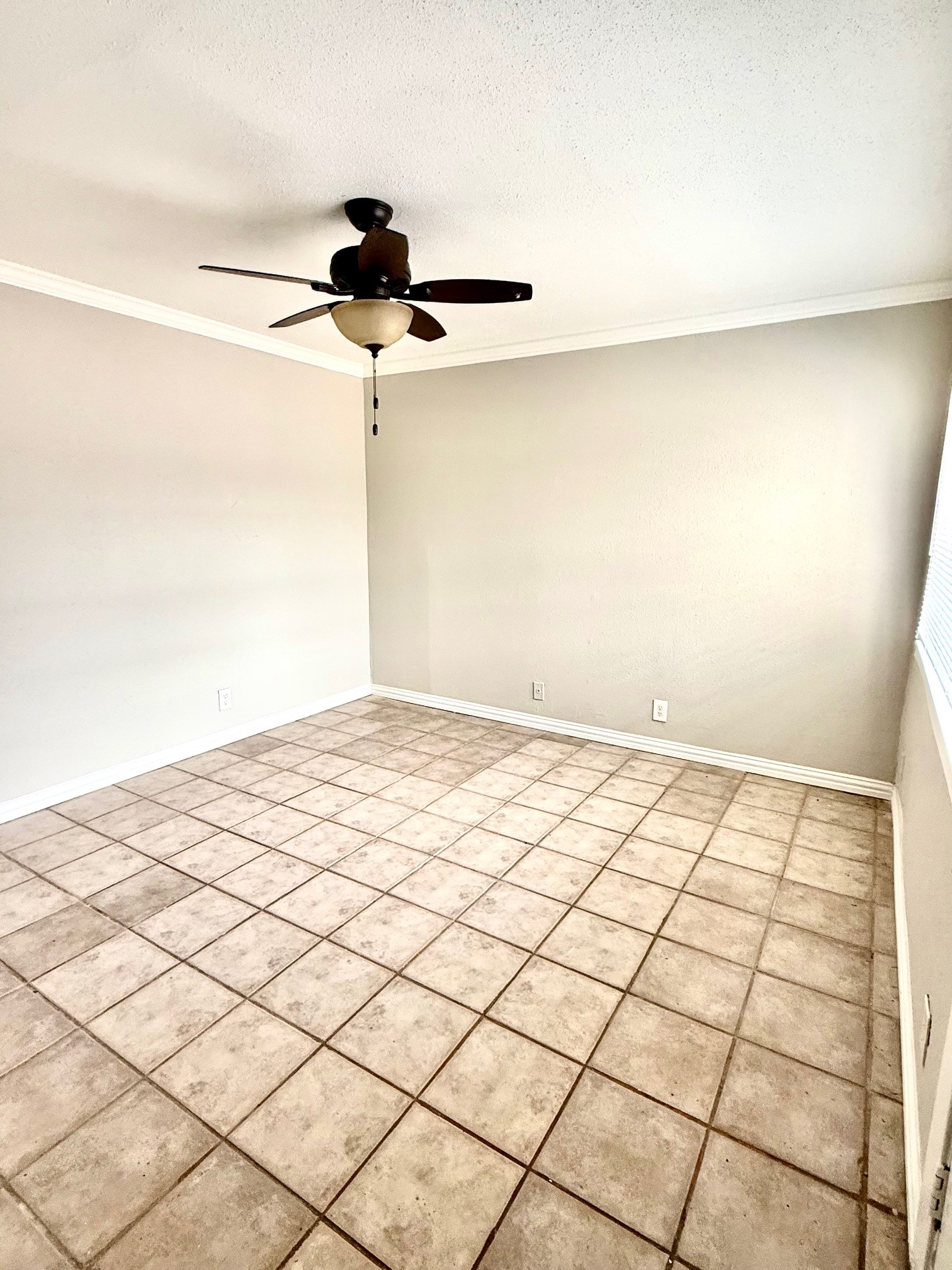 1518 Wirt Road, Unit 1 Houston, TX 77055 - Photo 3 of 11