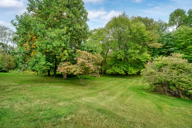 a view of a trees in a yard