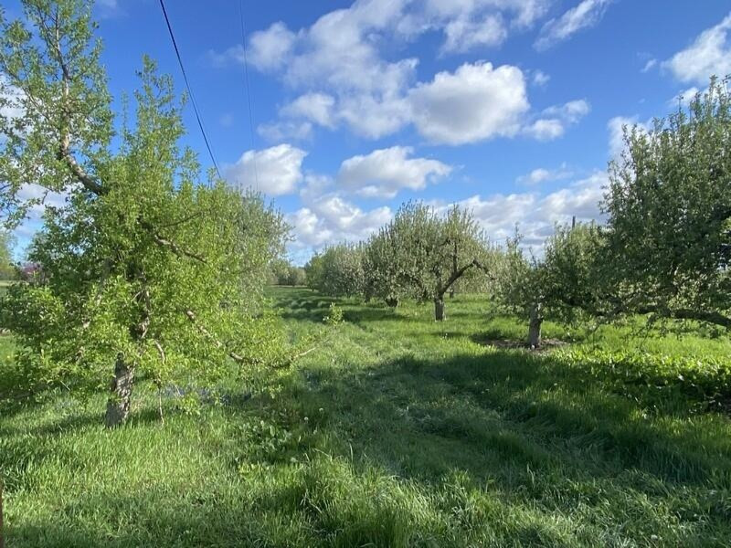 7281 Hillandale Road Sodus, MI 49126 - Photo 14 of 14 14_7281HillandaleRoad_900003_LowRes