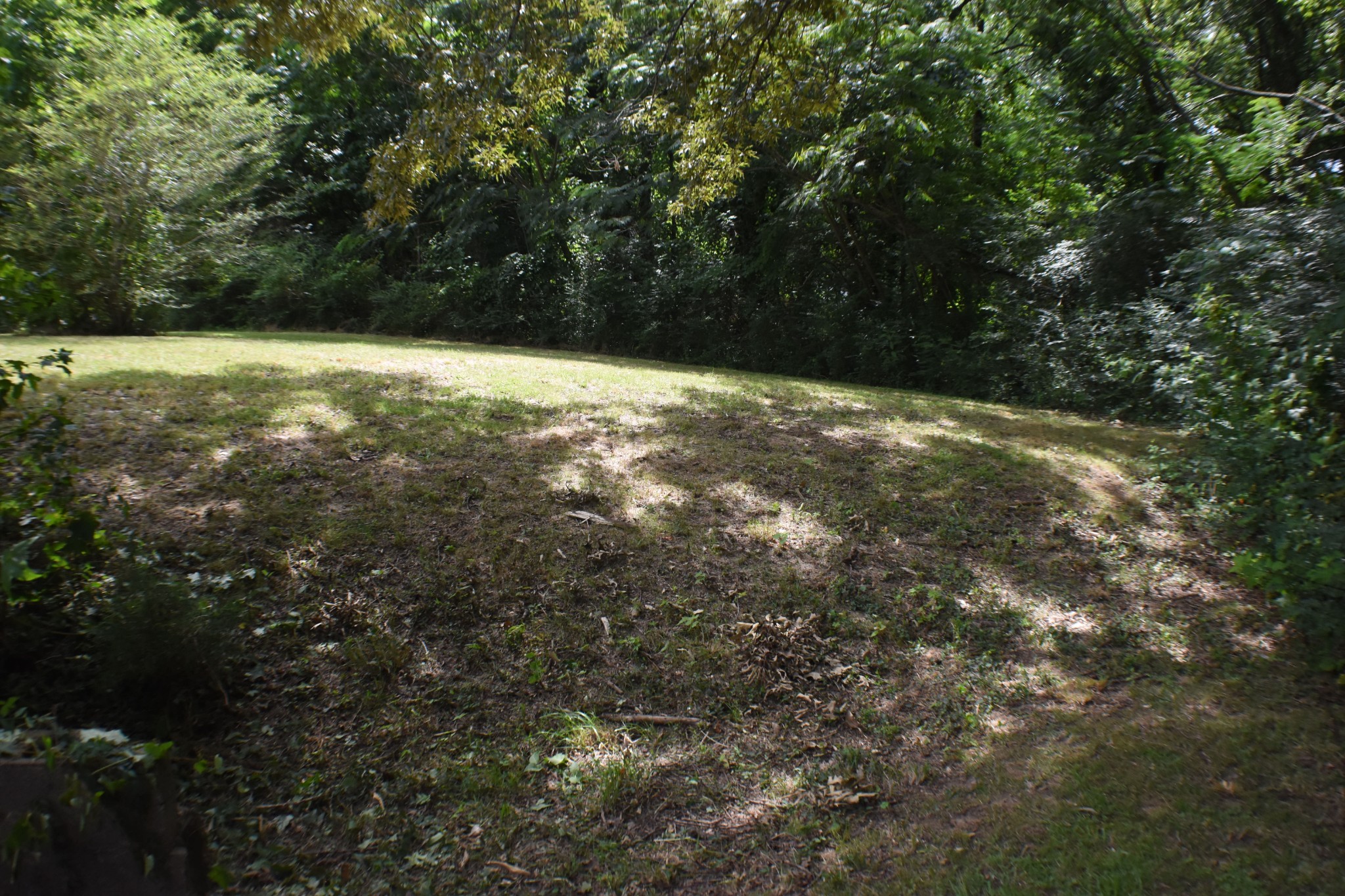 141 Maple Street Linden, TN 37096 - Photo 13 of 38