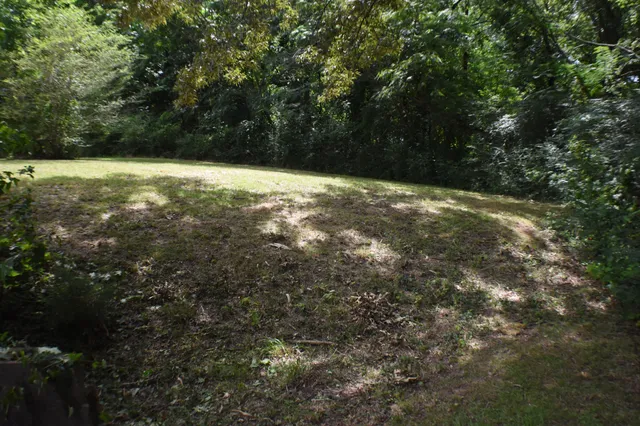 a backyard of a house with lots of green space