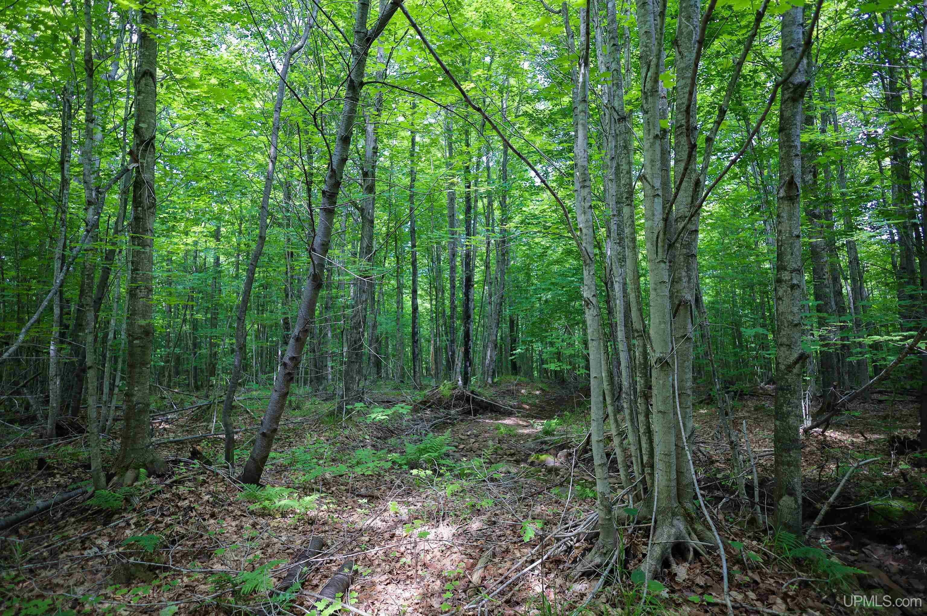 Tbd Sigan Road Marquette, MI 49855 - Photo 15 of 32