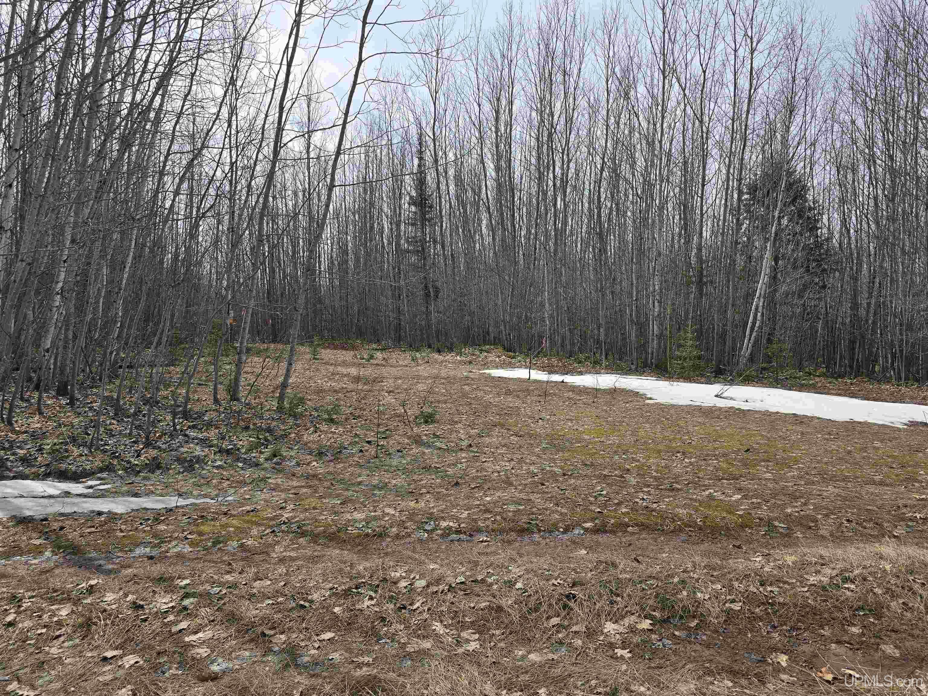 Tbd Woodspur Road Ontonagon, MI 49953 - Photo 23 of 46