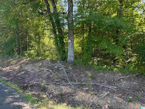 $40,000 | 0 Murdock Road, Attalla, AL 35954