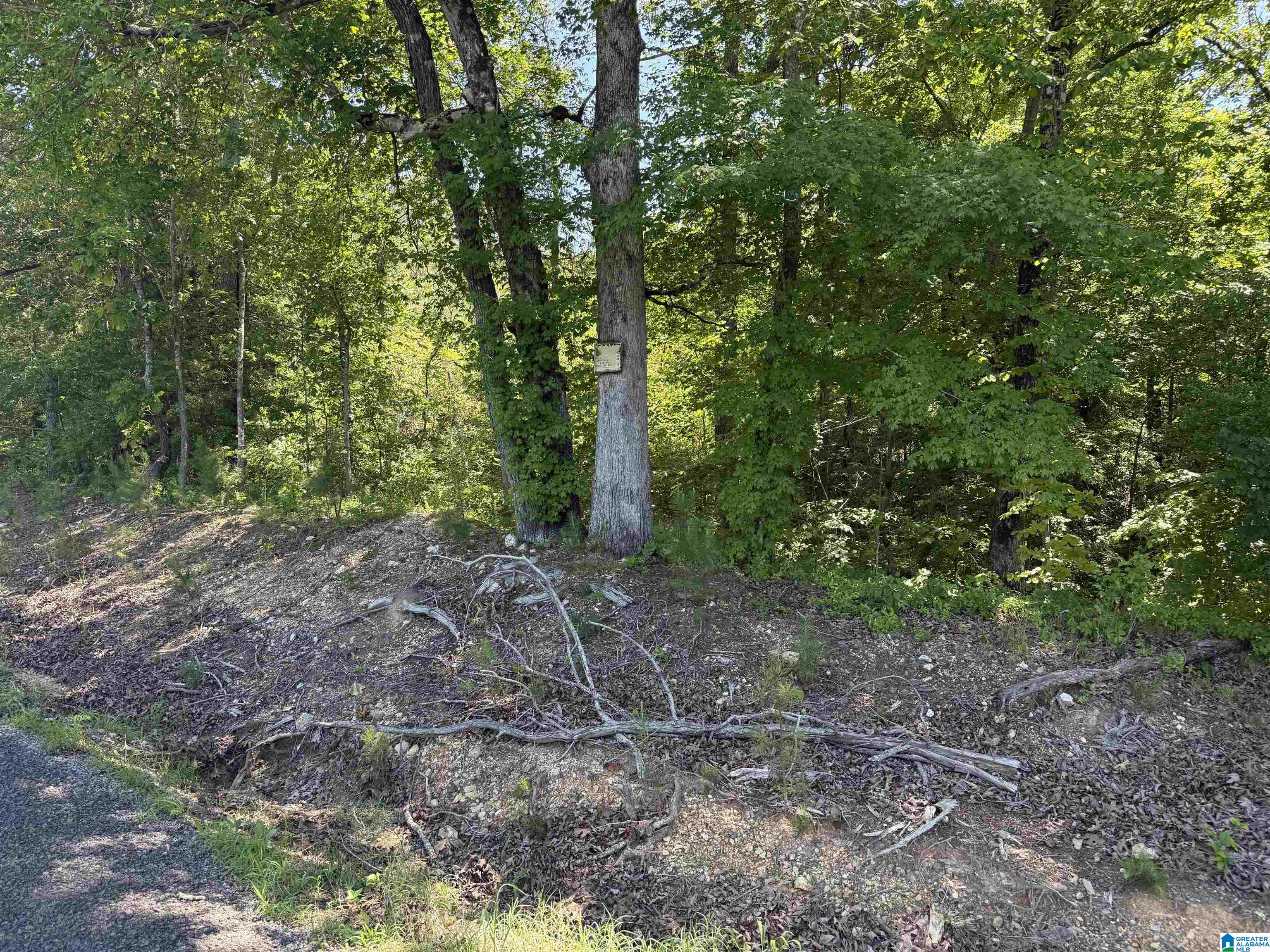 0 Murdock Road Attalla, AL 35954 - Photo 1 of 3