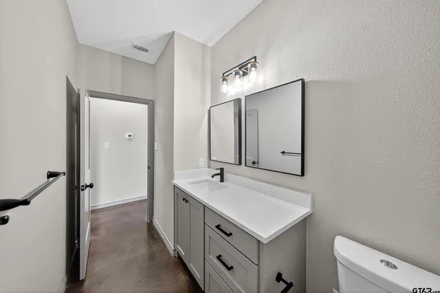 a bathroom with a sink a toilet and a mirror