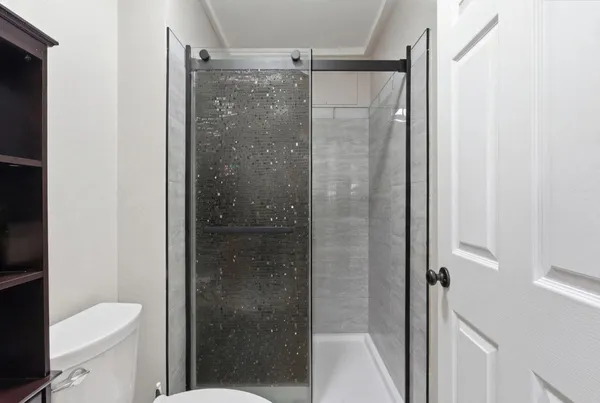 a bathroom with a shower and a toilet