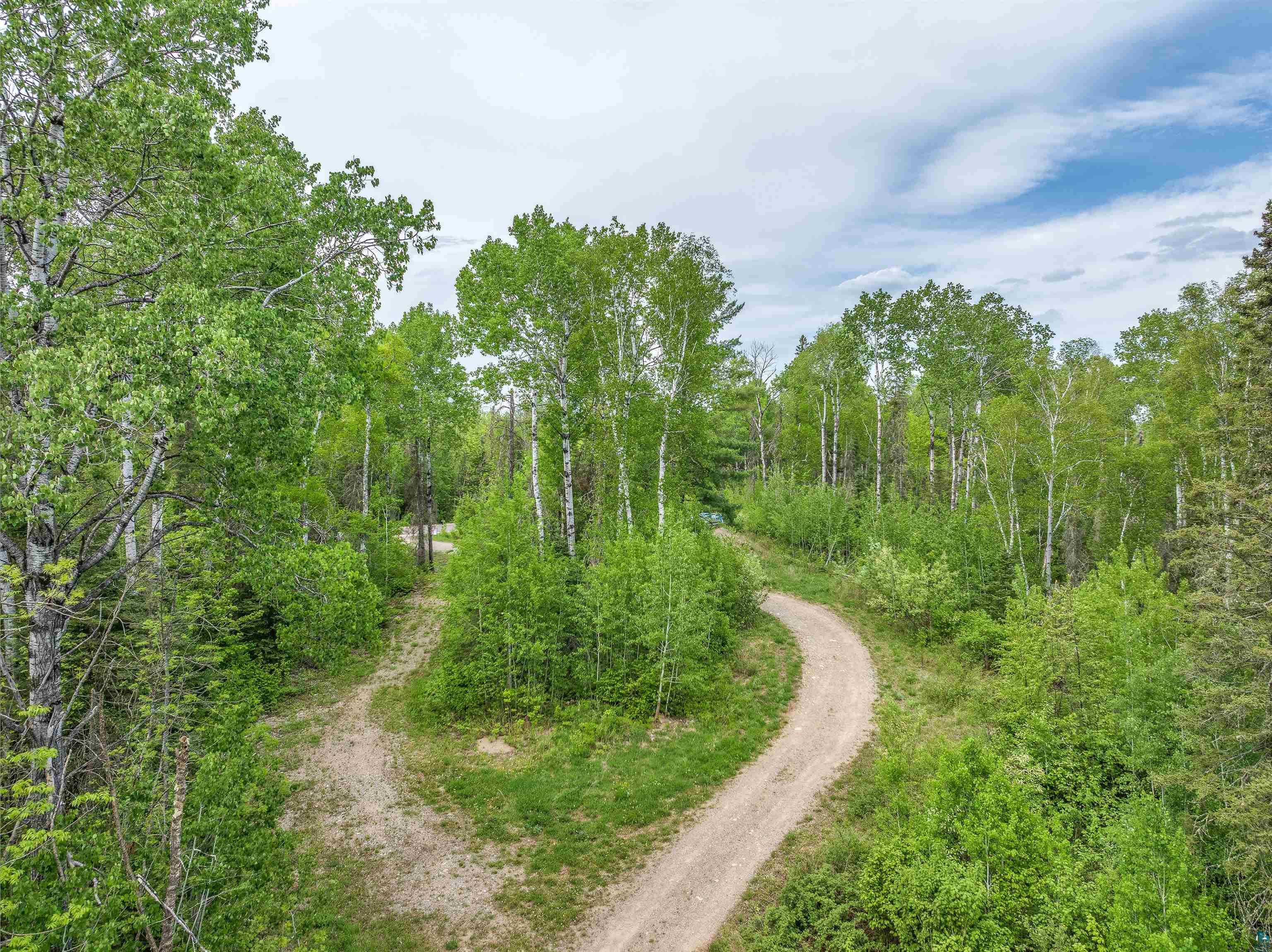 1152 Fernberg Road Ely, MN 55731 - Photo 22 of 24 Wooded parcel featuring a winding natural path, mature deciduous trees, and varied green foliage