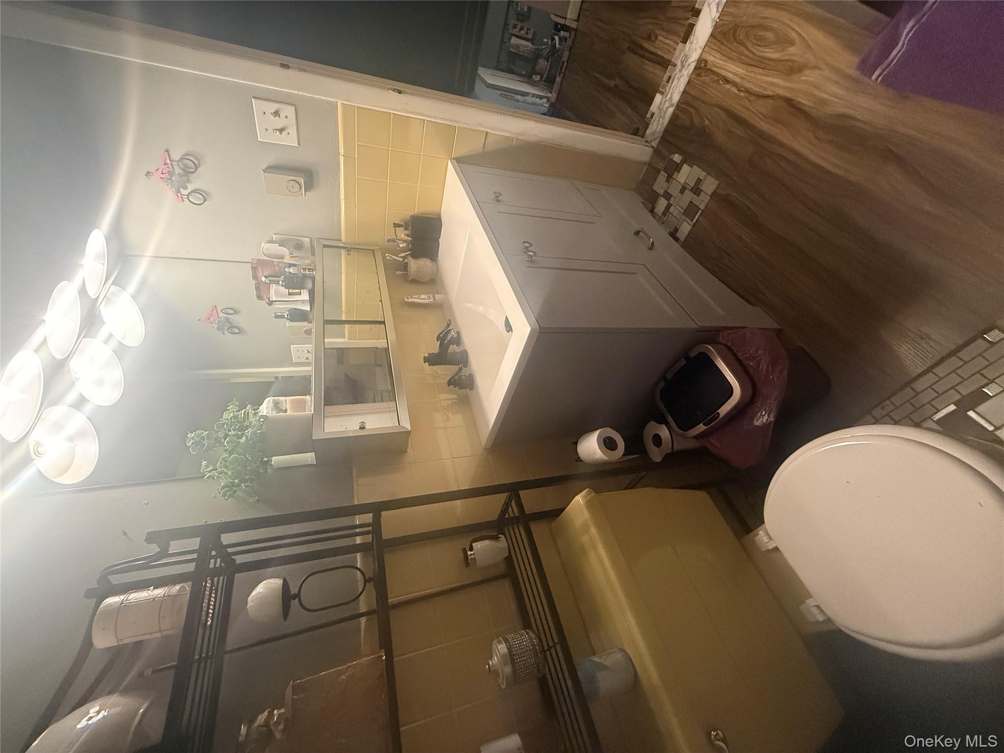 37 Robert Road Kiamesha Lake, NY 12751 - Photo 11 of 25 a bathroom with a sink a toilet and a mirror