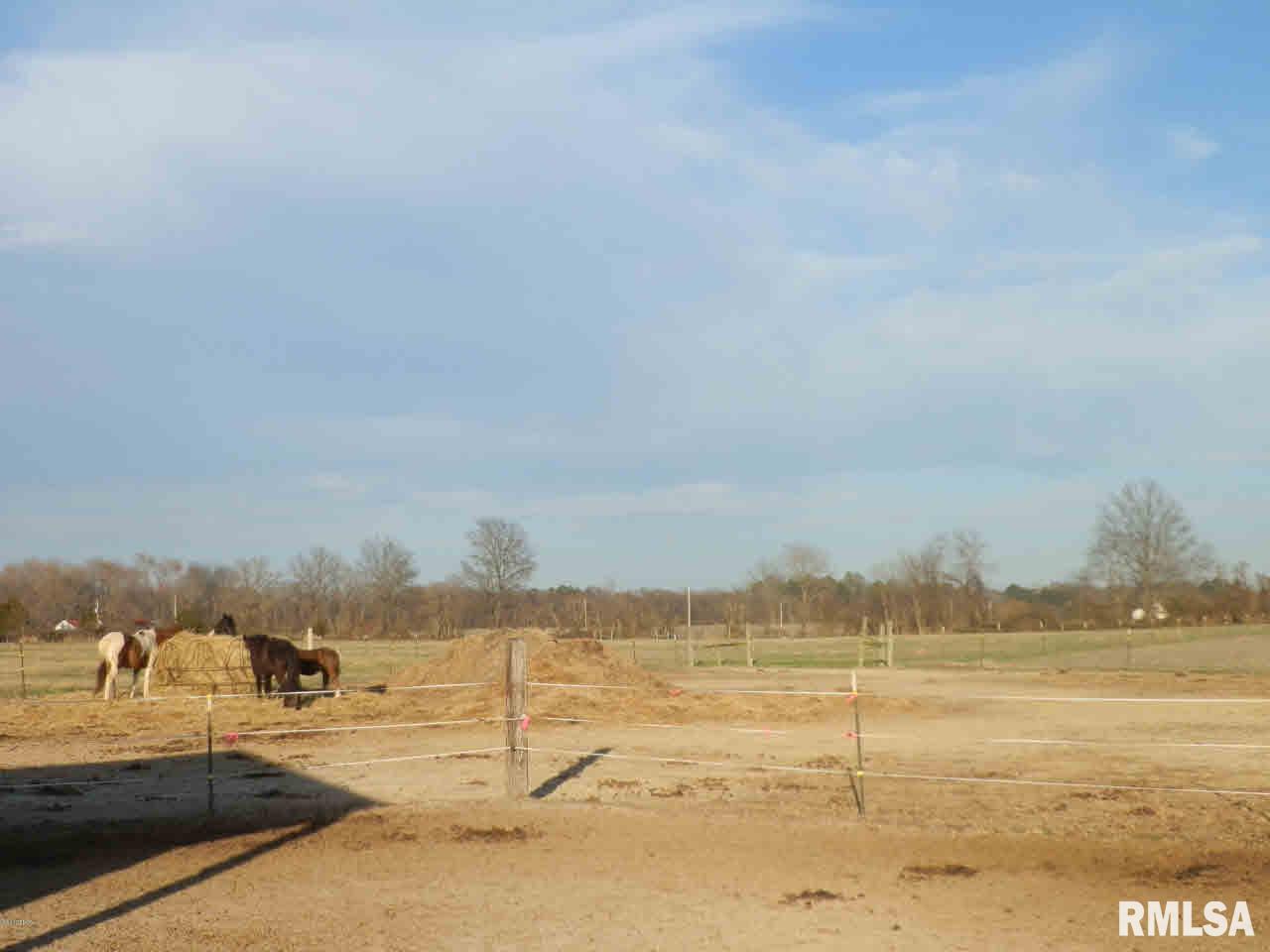 1428 Haulage Road Vergennes, IL 62994 - Photo 28 of 37