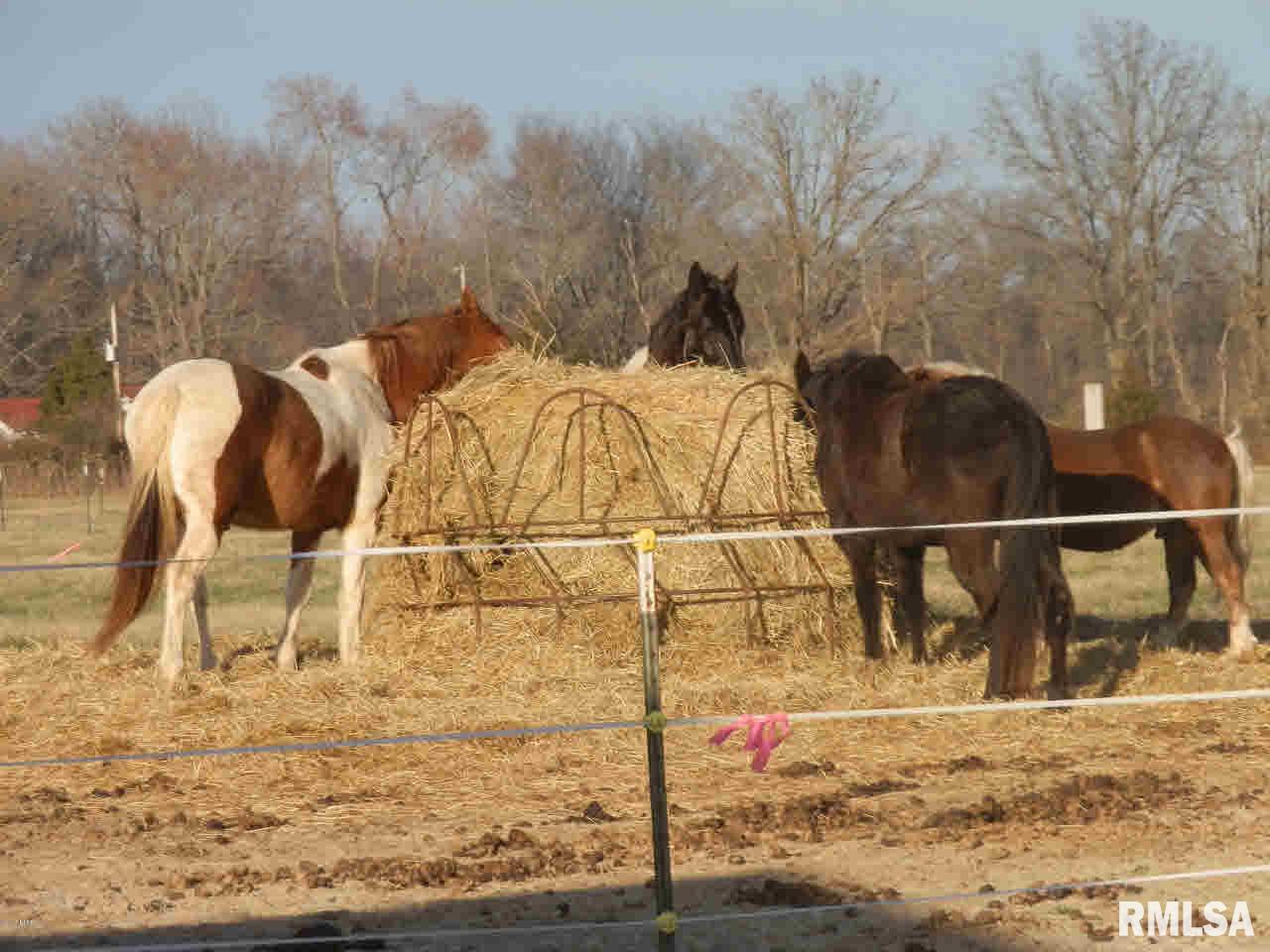 1428 Haulage Road Vergennes, IL 62994 - Photo 29 of 37