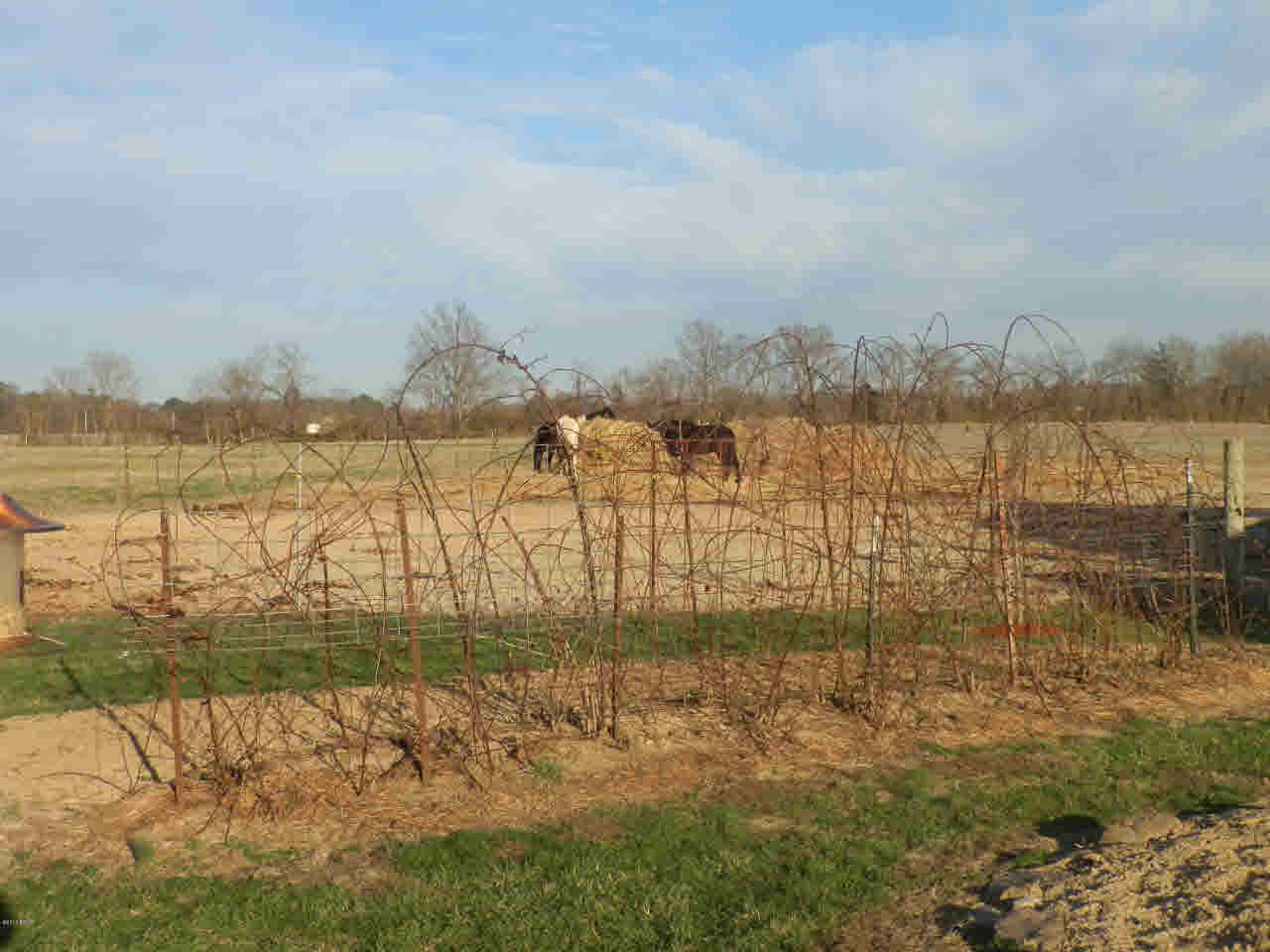1428 Haulage Road Vergennes, IL 62994 - Photo 30 of 37