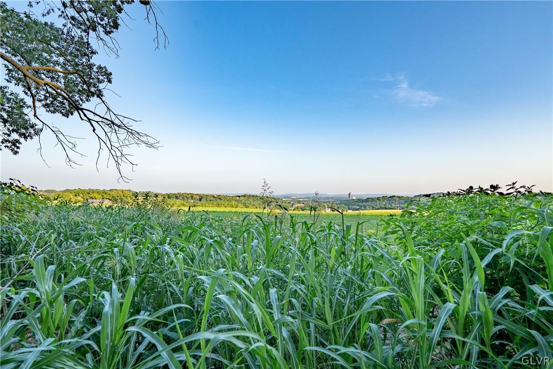 2565 Woods Edge Road Bath, PA 18014 - Photo 5 of 19 Amazing view from the edge of the backyard.