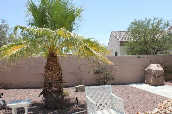 a view of a backyard with potted plants