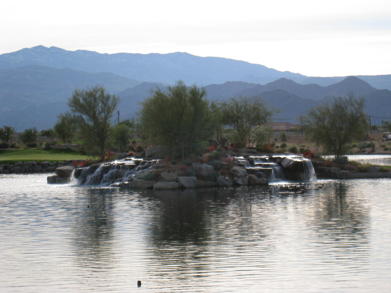 81672 Avenida Viesca Indio, CA 92203 - Photo 51 of 56 a view of river covered with trees in the back