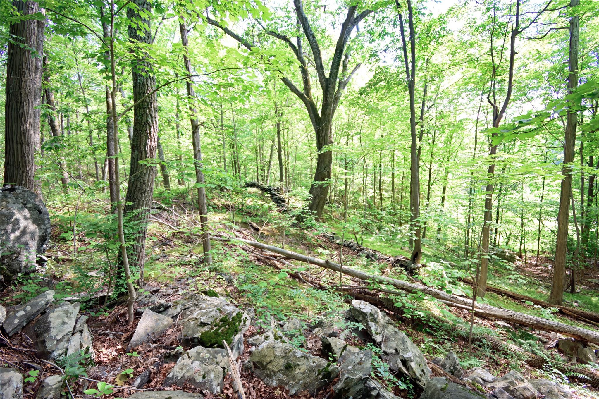 727 Farmers Mills Road Carmel, NY 10512 - Photo 15 of 31 a view of outdoor space and garden