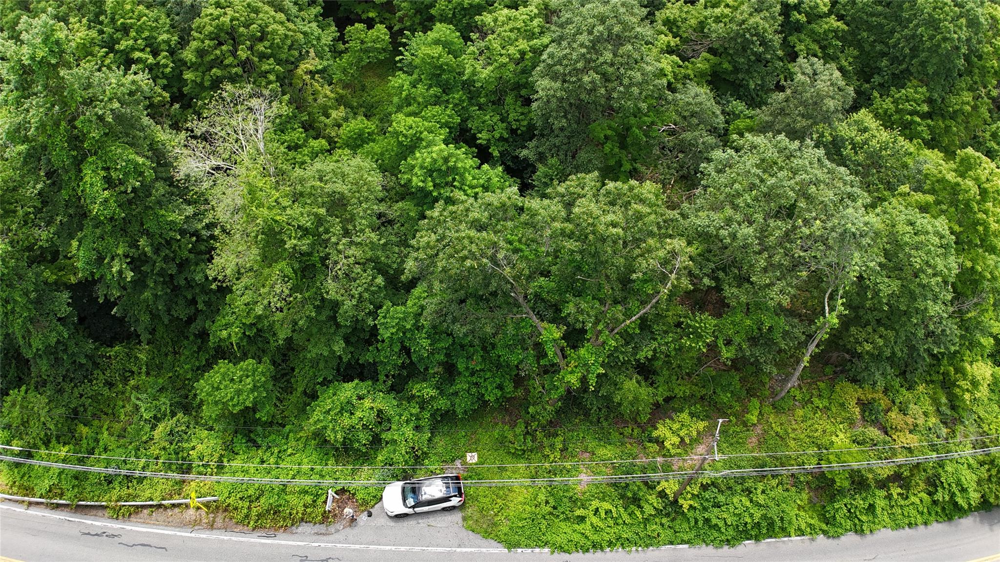 727 Farmers Mills Road Carmel, NY 10512 - Photo 2 of 31 a view of a yard