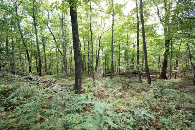 a view of outdoor space and green space