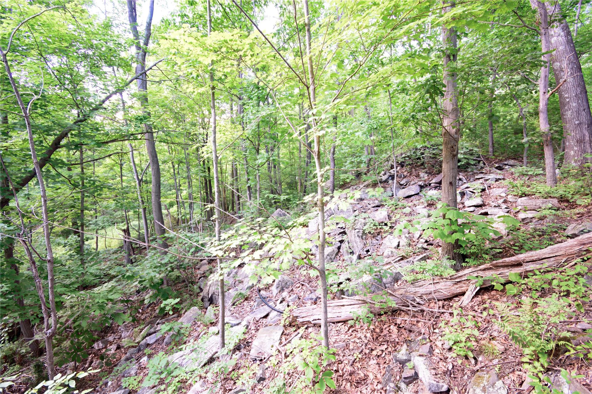 727 Farmers Mills Road Carmel, NY 10512 - Photo 28 of 31 a view of statue in the garden