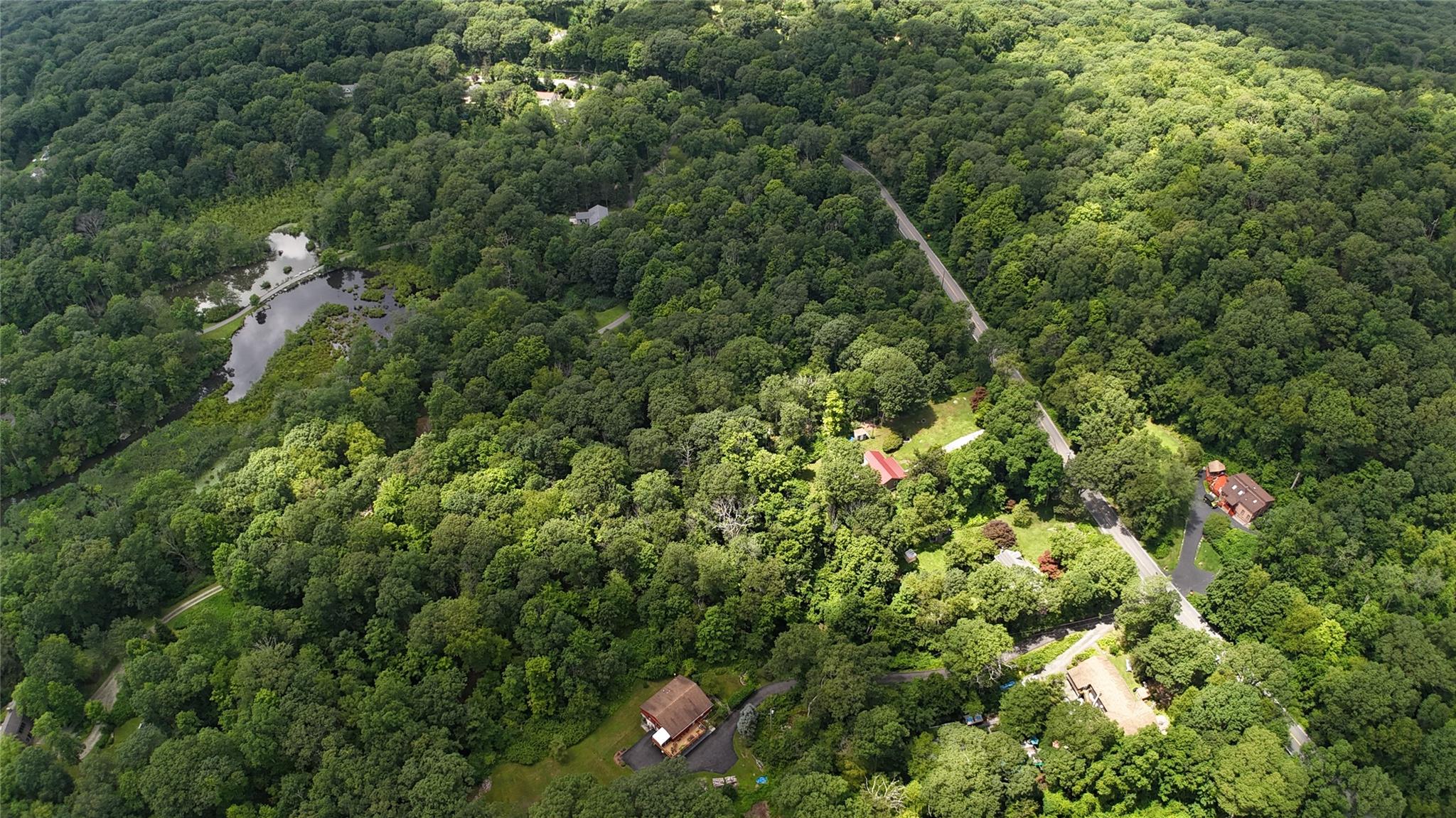727 Farmers Mills Road Carmel, NY 10512 - Photo 5 of 31 a view of a forest with a tree