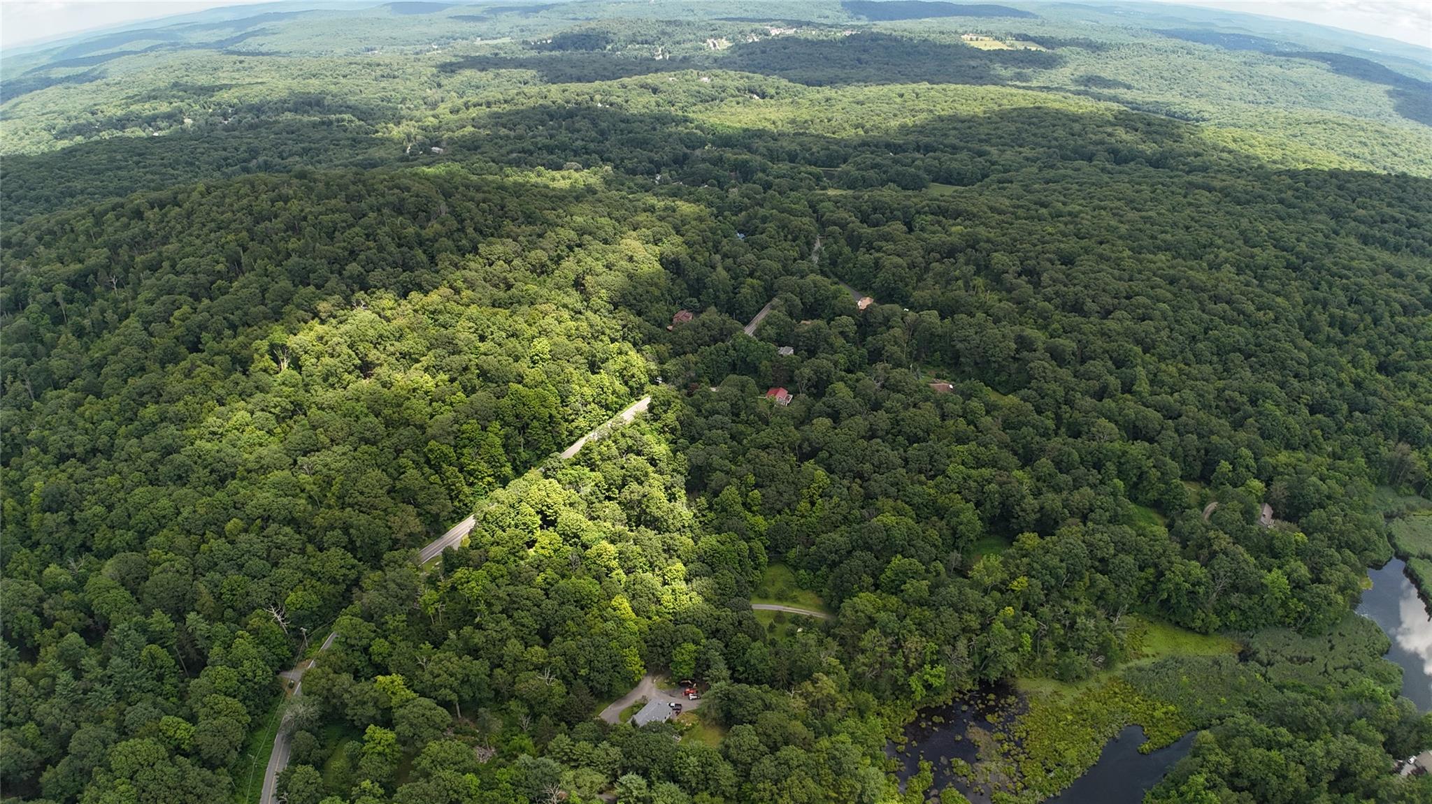 727 Farmers Mills Road Carmel, NY 10512 - Photo 6 of 31 a view of a yard