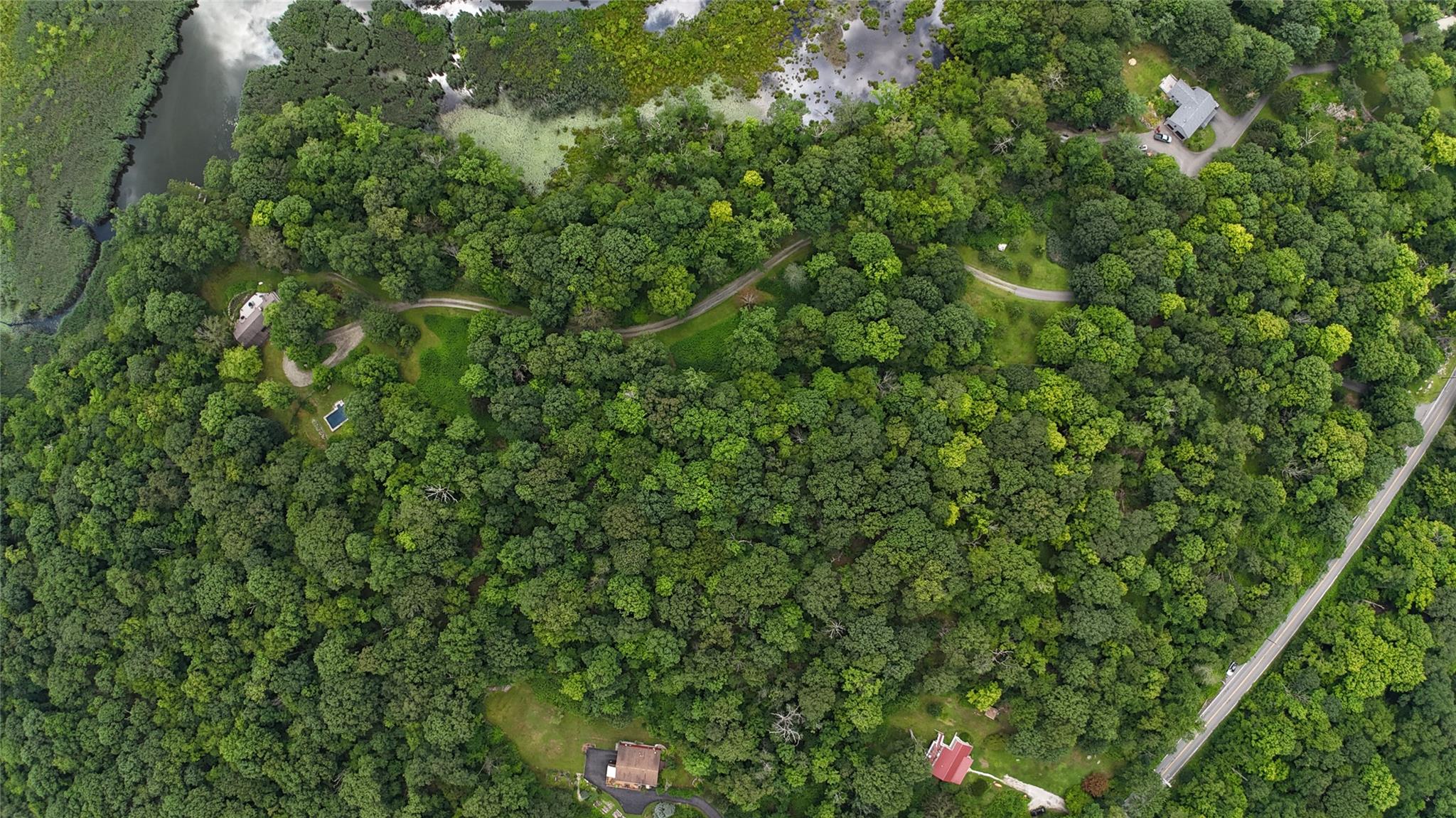 727 Farmers Mills Road Carmel, NY 10512 - Photo 8 of 31 a view of a lush green forest