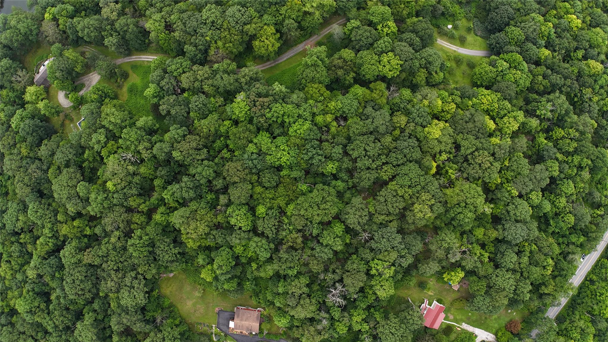 727 Farmers Mills Road Carmel, NY 10512 - Photo 9 of 31 a backyard of a house with lots of green space