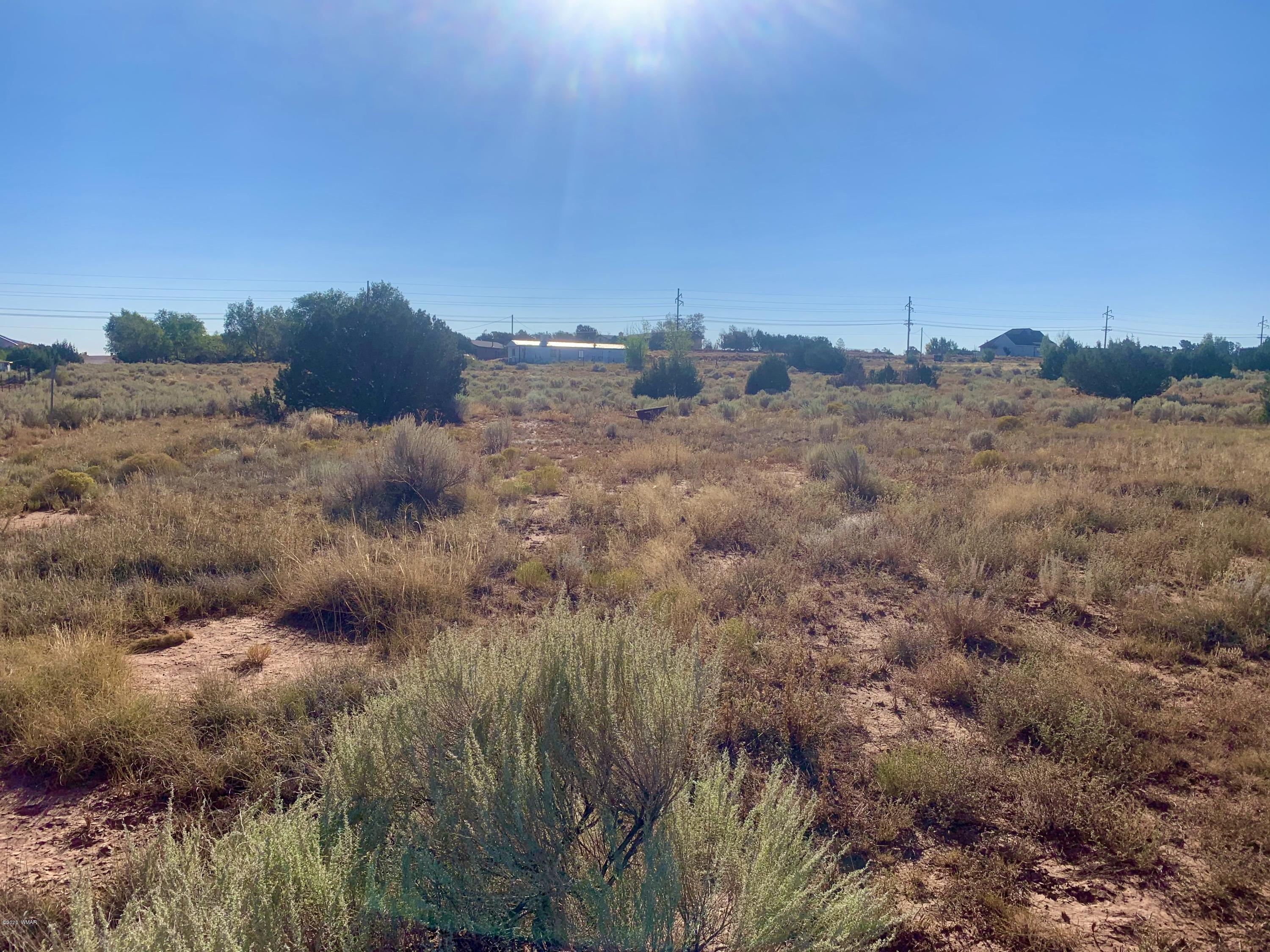 260 South Porter Road Snowflake, AZ 85937 - Photo 14 of 18