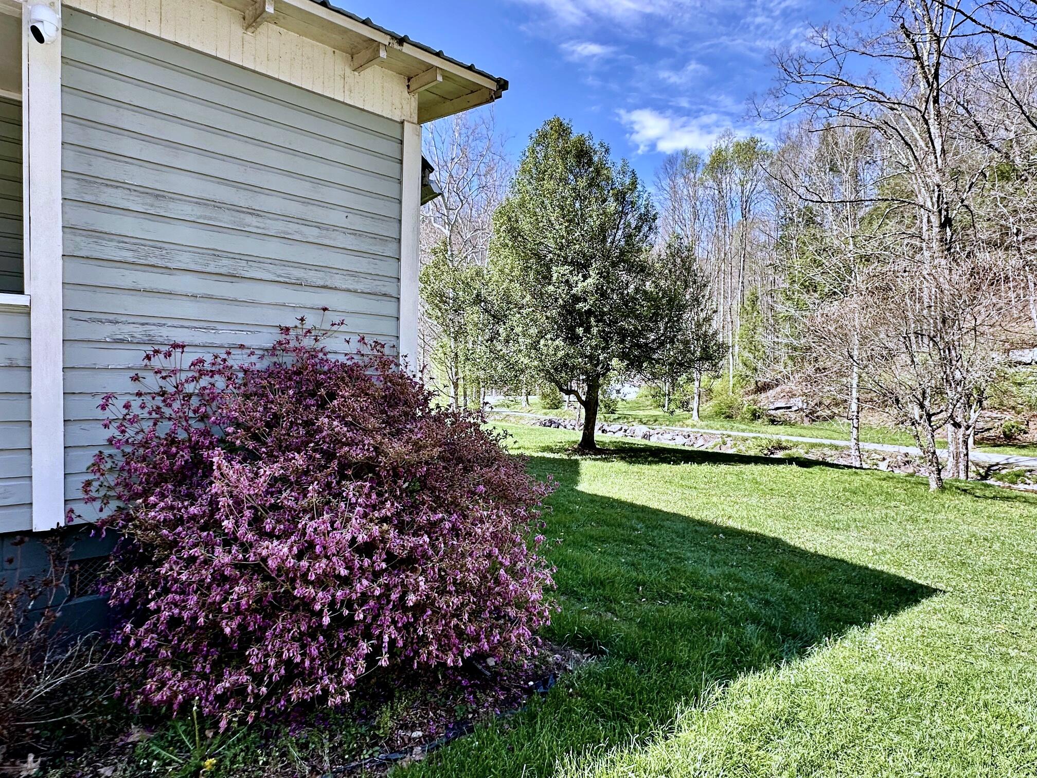 12 Co Rte 219/13 Valley Head, WV 26294 - Photo 70 of 93 side yard