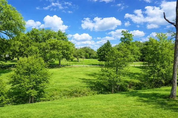a view of a green field with lots of bushes