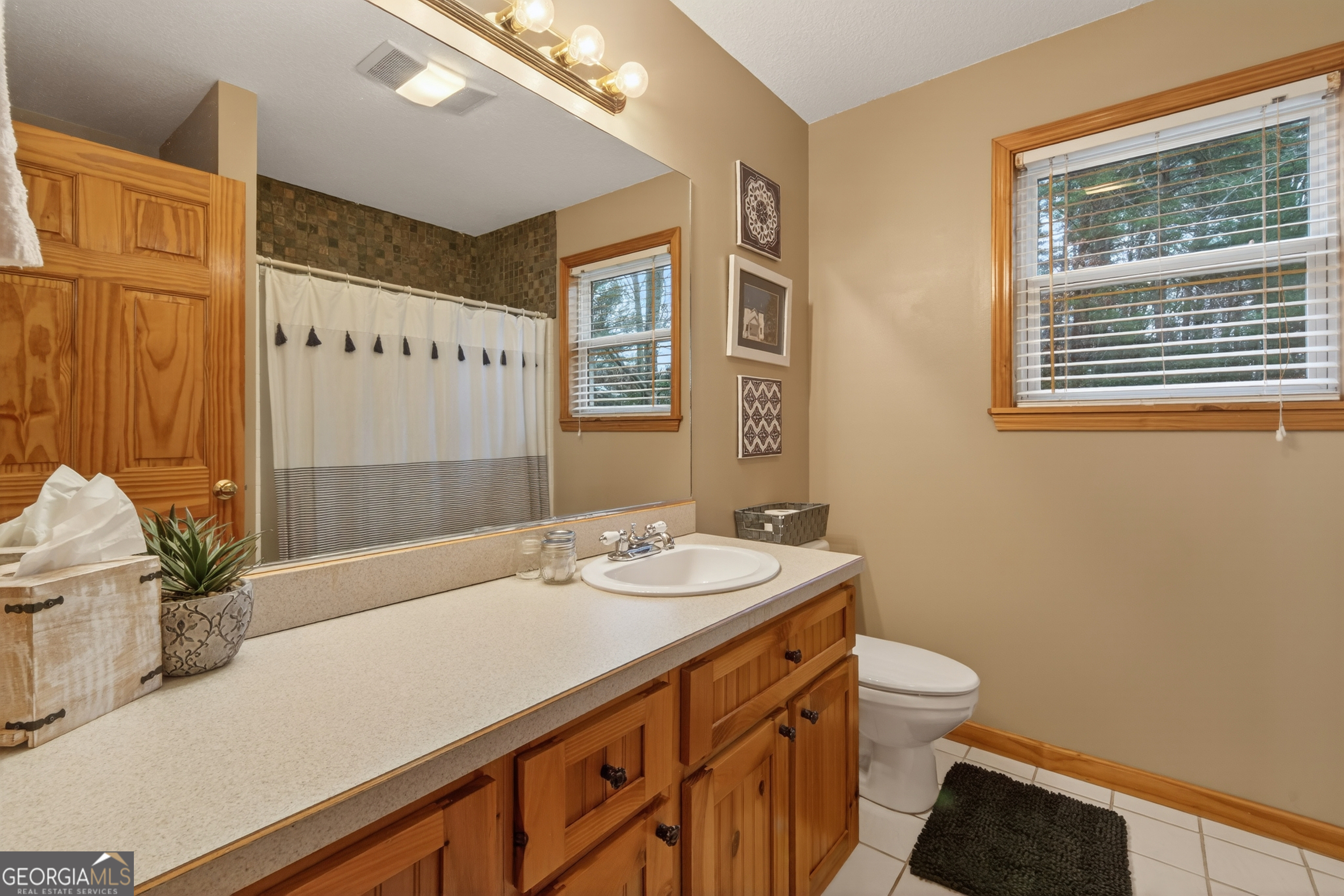 697 Zeppelin Strasse Helen, GA 30545 - Photo 29 of 56 a bathroom with a sink a toilet and shower