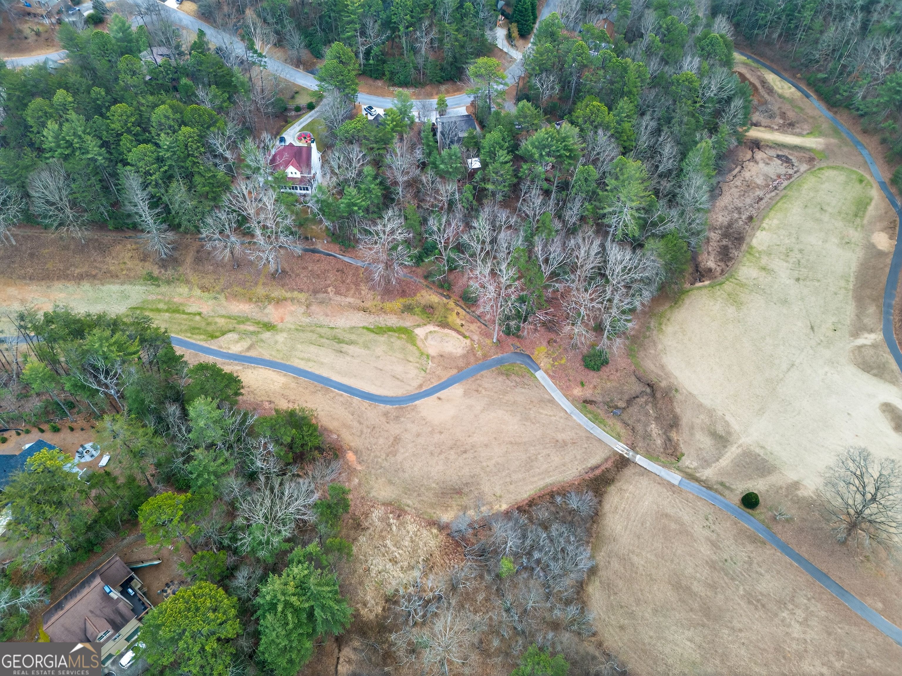 697 Zeppelin Strasse Helen, GA 30545 - Photo 49 of 56 a view of a yard with a tree