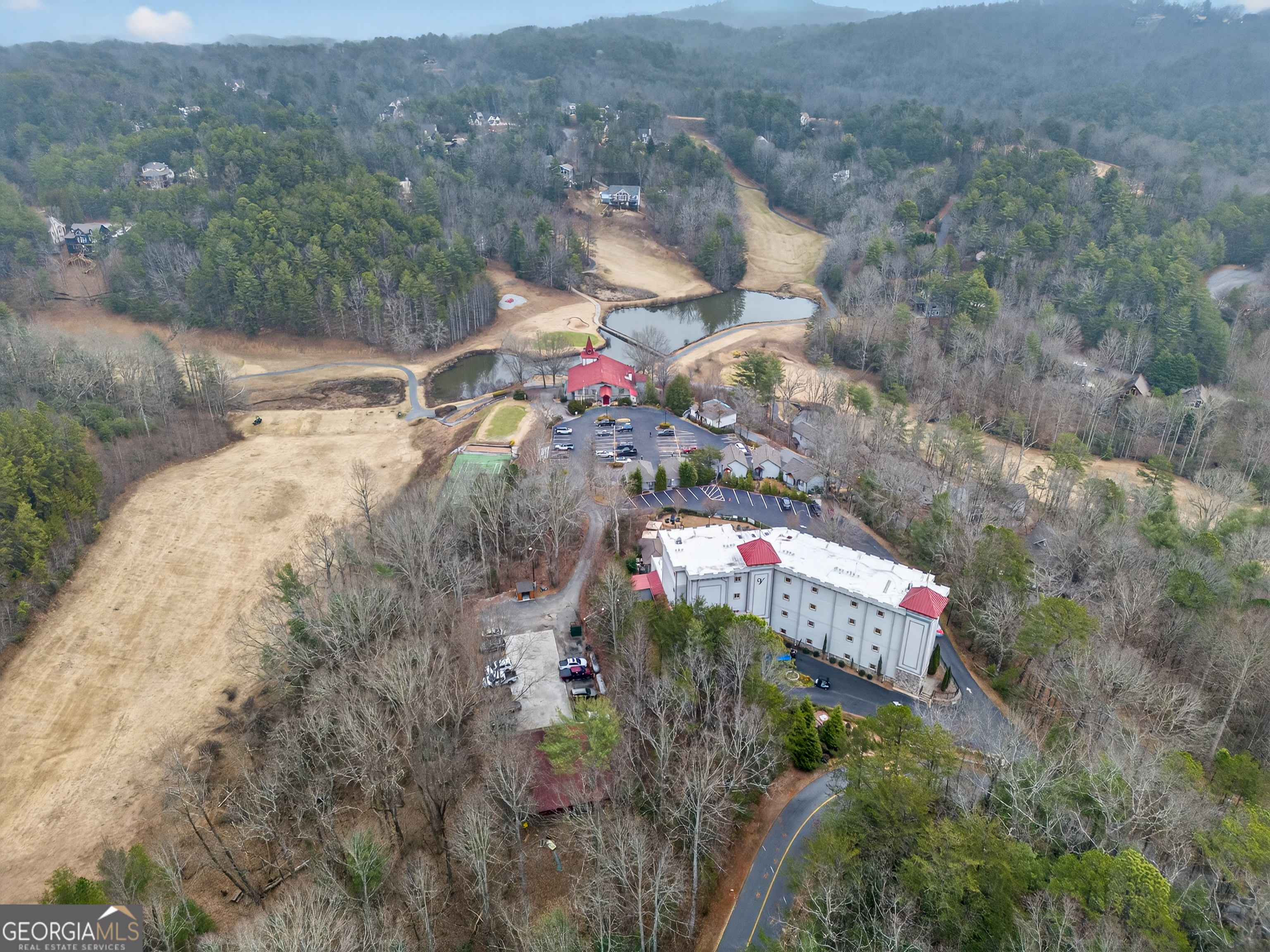 697 Zeppelin Strasse Helen, GA 30545 - Photo 51 of 56 a aerial view of a house with a yard and large tree