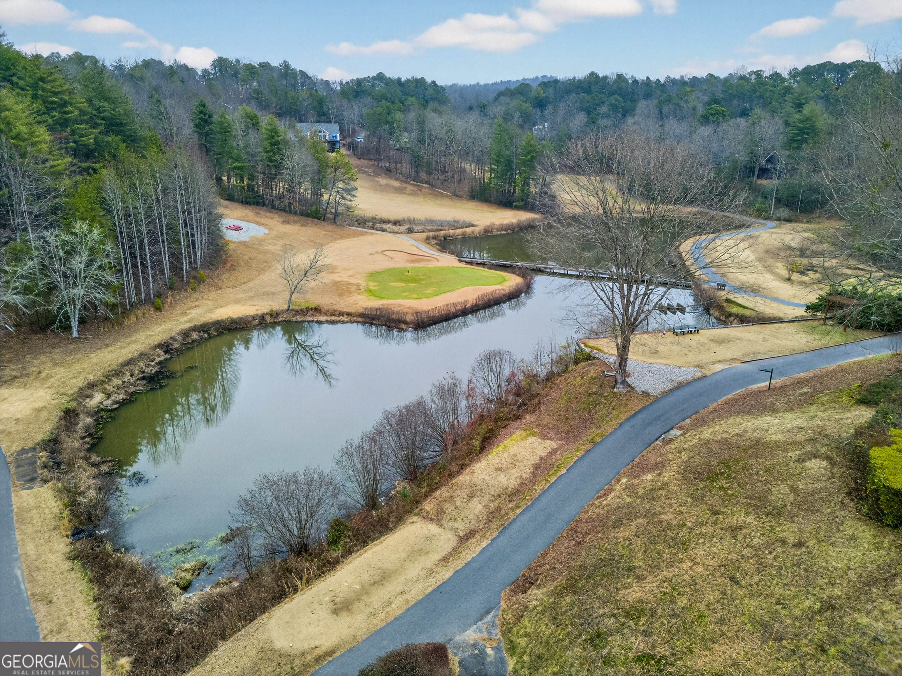697 Zeppelin Strasse Helen, GA 30545 - Photo 52 of 56 a view of a swimming pool with a yard