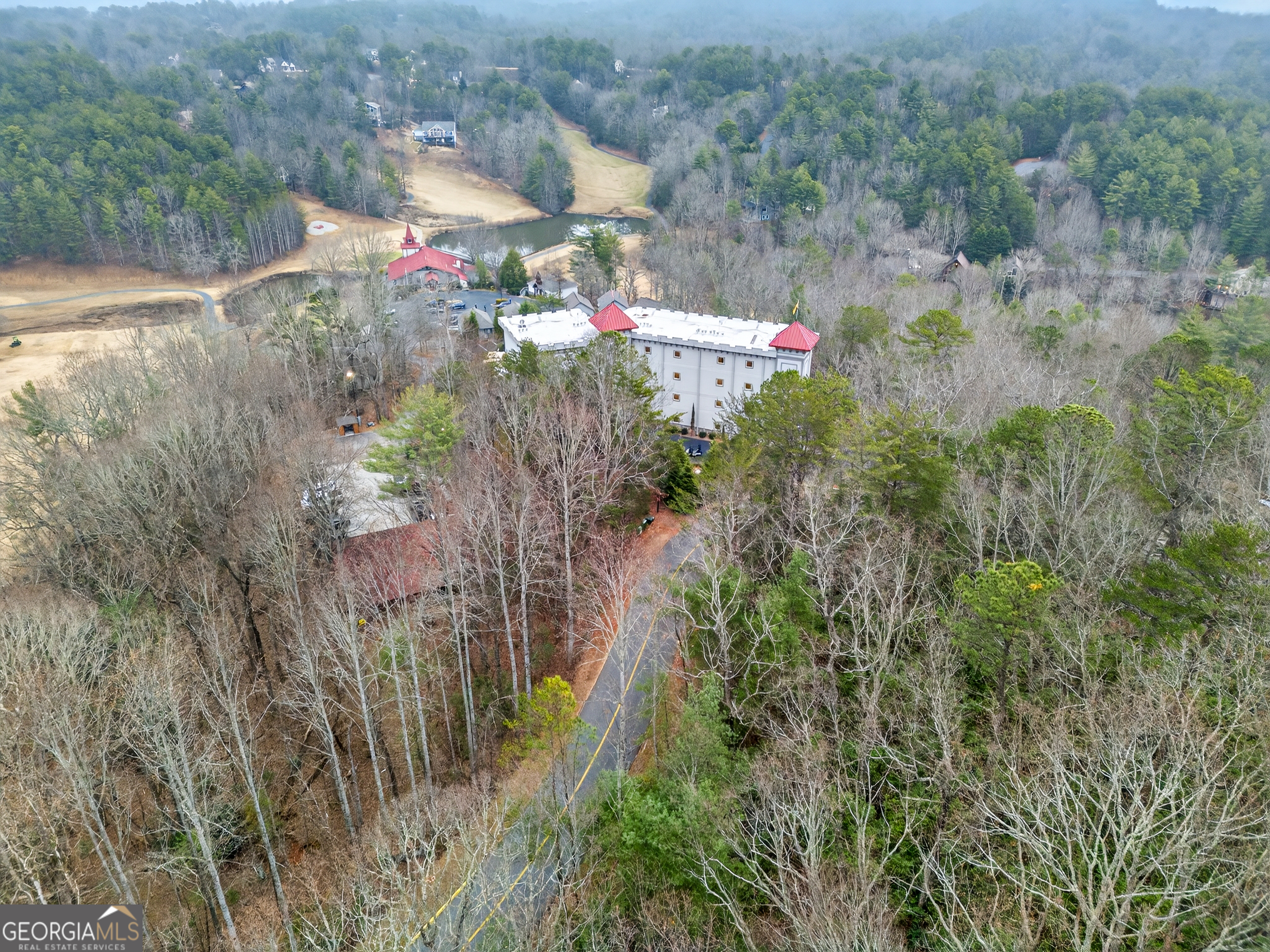697 Zeppelin Strasse Helen, GA 30545 - Photo 53 of 56 an aerial view of residential houses and trees