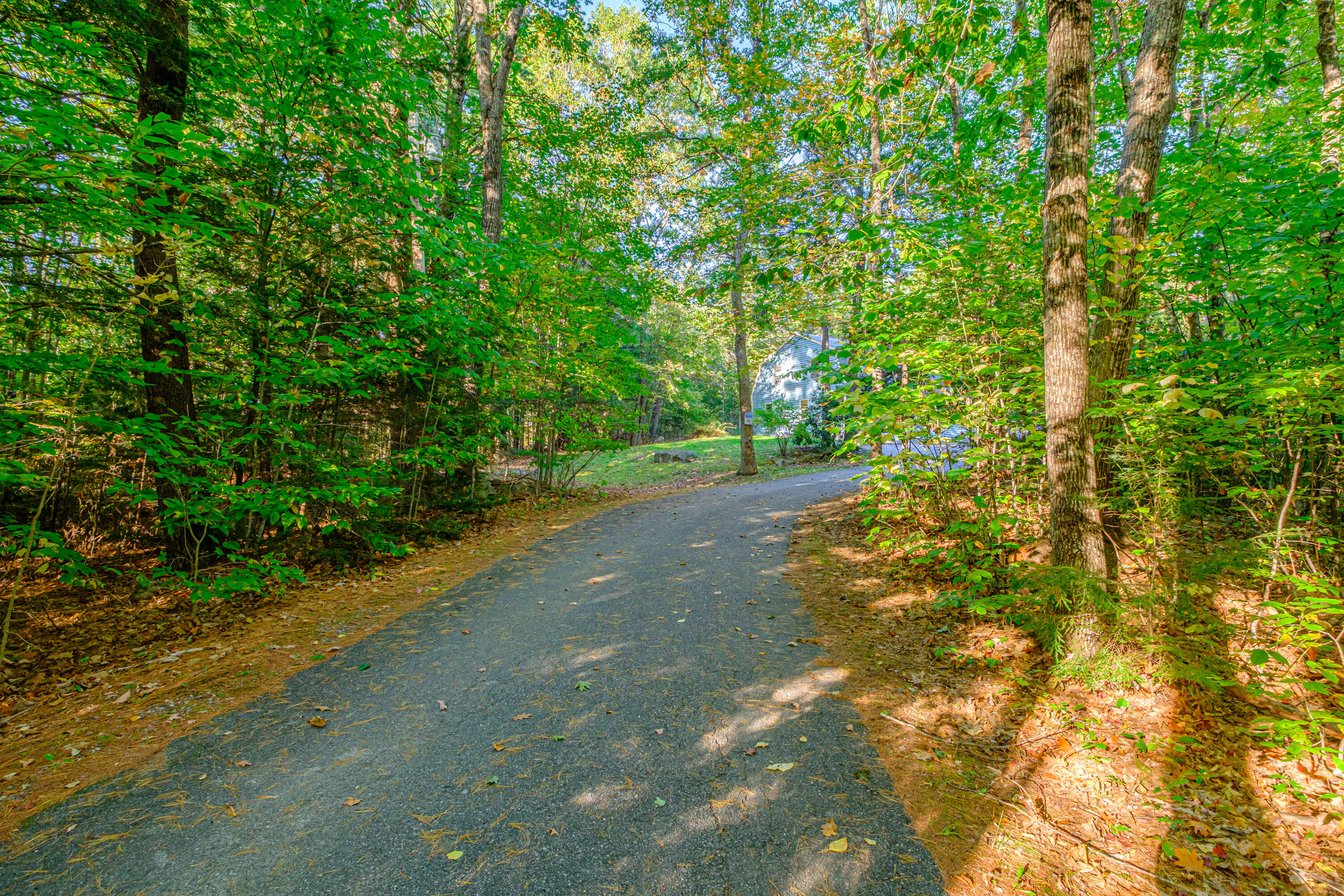 492 Lewis Road Harrison, ME 04040 - Photo 5 of 80 20250930gp-60003