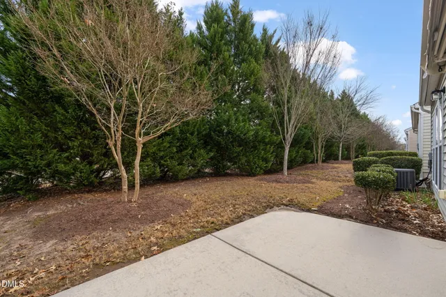 a view of backyard with green space