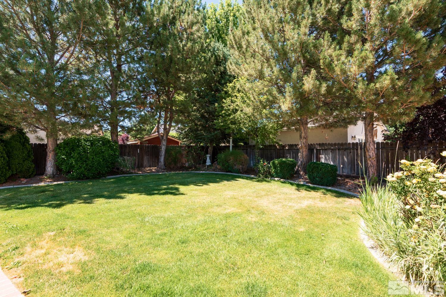 877 Longleaf Place Minden, NV 89423 - Photo 26 of 39 a yard with a trees