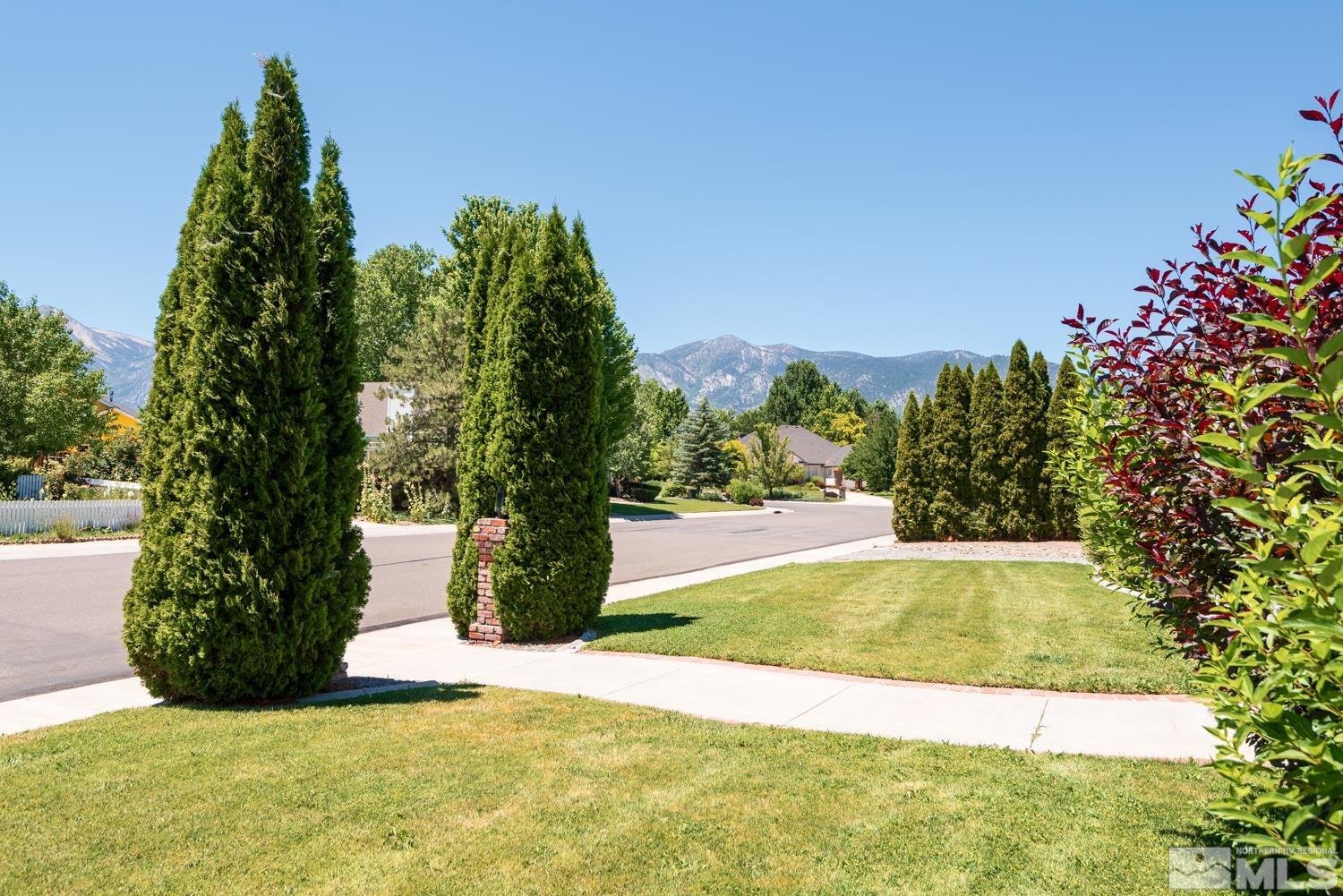 877 Longleaf Place Minden, NV 89423 - Photo 29 of 39 a view of a yard with potted plants