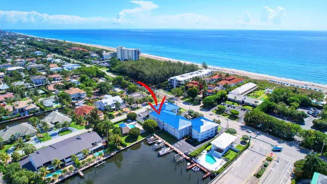 a view of a backyard with plants and a fountain