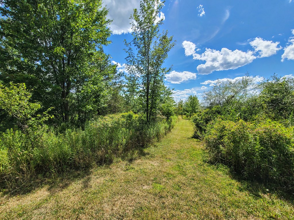 369 Terry Hill Road Veteran, NY 14845 - Photo 11 of 49