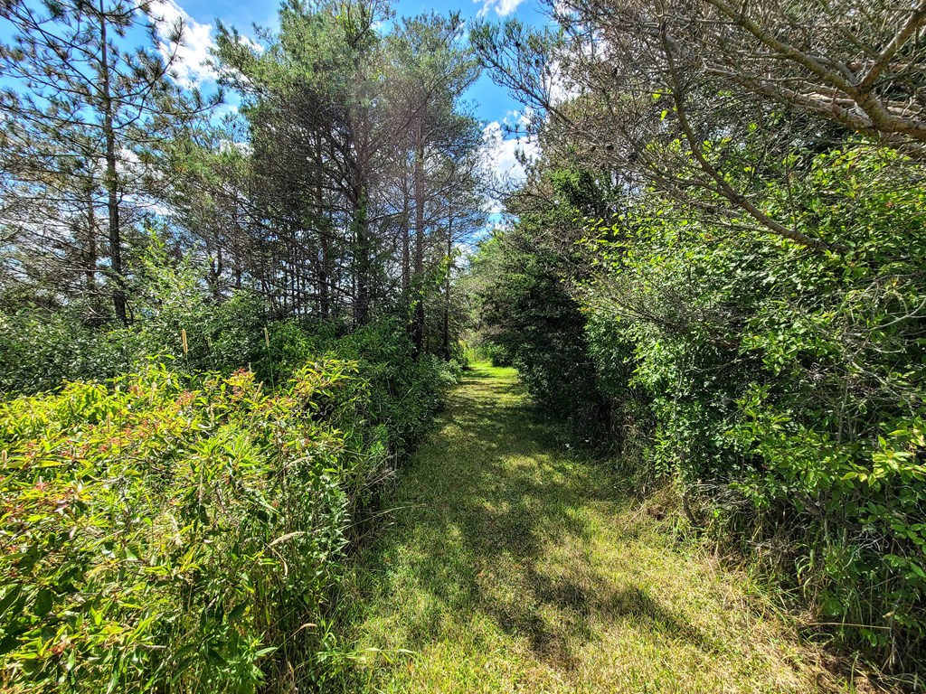 369 Terry Hill Road Veteran, NY 14845 - Photo 12 of 49