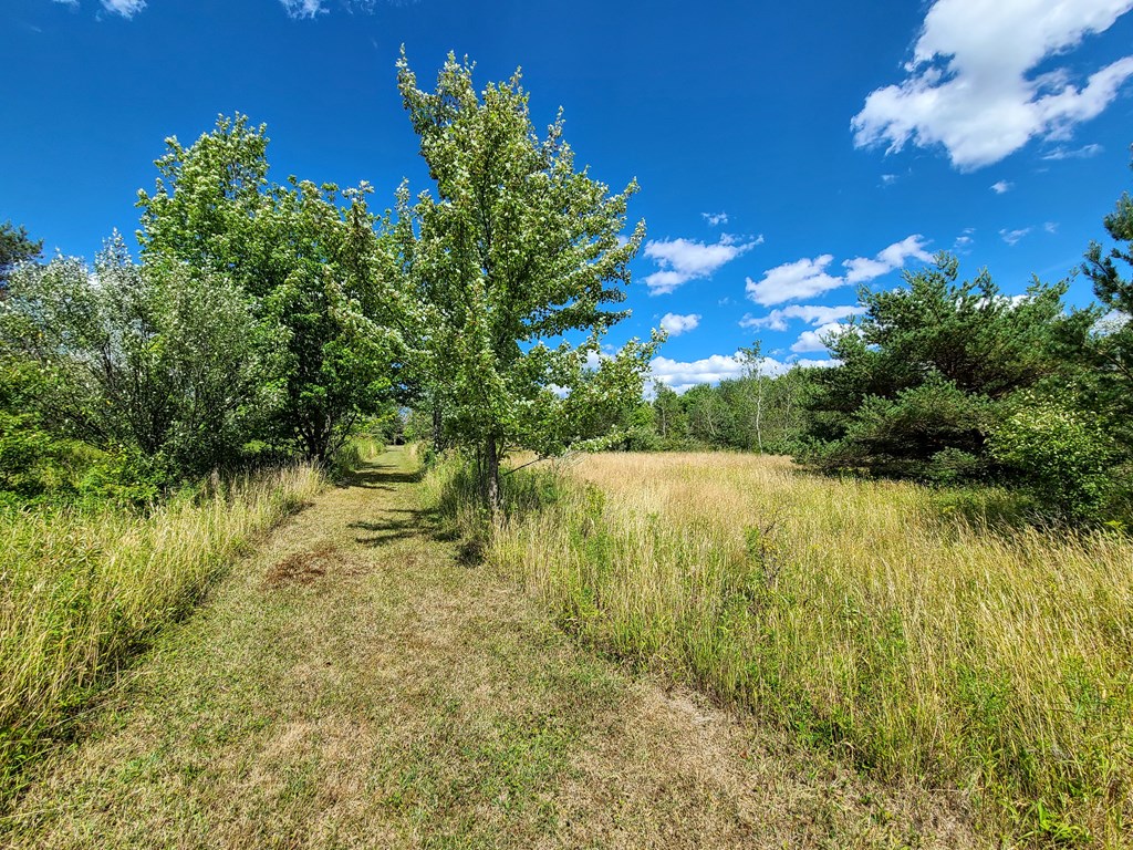 369 Terry Hill Road Veteran, NY 14845 - Photo 13 of 49